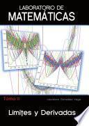 libro Laboratorio De Matematicas Vol.2