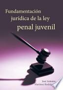 libro Fundamentacion Juridica De La Ley Penal Juvenil