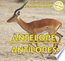 libro Antelope / Antílopes
