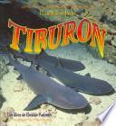 libro El Ciclo De Vida Del Tiburon/ The Life Cycle Of A Shark