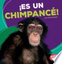 libro Spa Es Un Chimpance (its A Chi