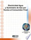 libro Electricidad, Agua Y Suministro De Gas Por Ductos Al Consumidor Final. Censos Económicos 2004