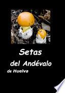 libro Setas Del Andévalo De Huelva