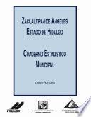 libro Zacualtipán De Ángeles Estado De Hidalgo. Cuaderno Estadístico Municipal 1995