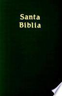 libro Holy Bible